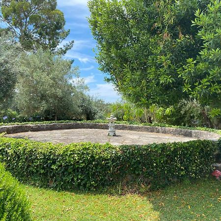Casa Da Eira - Villas De Campo Ferreira do Zêzere Eksteriør billede